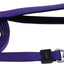 Inspire Dog Leash