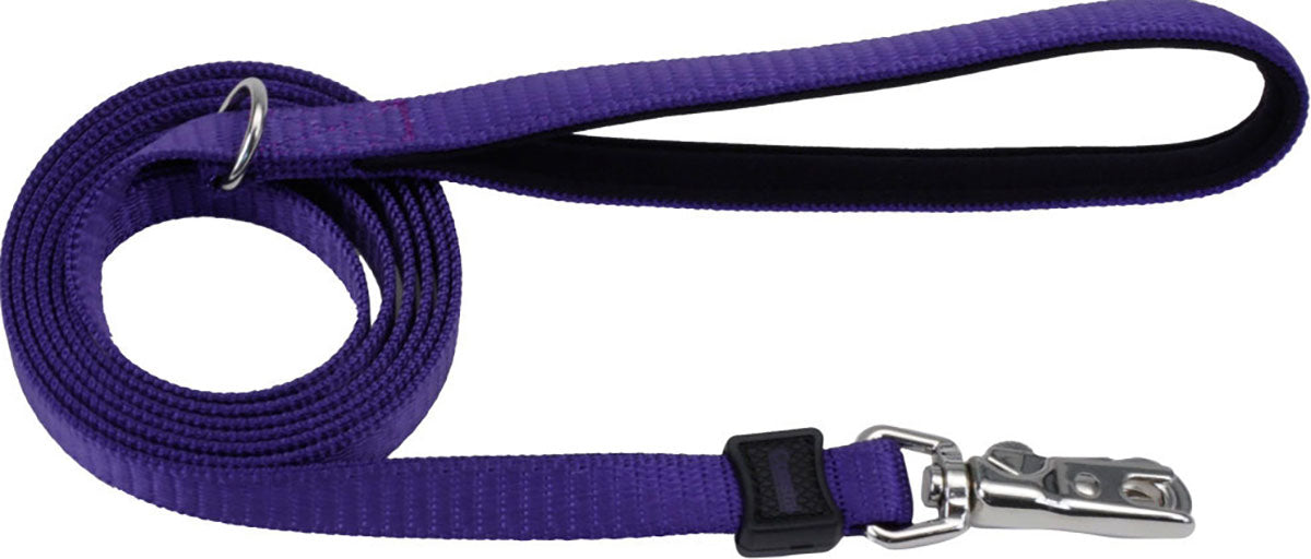 Inspire Dog Leash