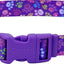 Styles Adjustable Dog Collar