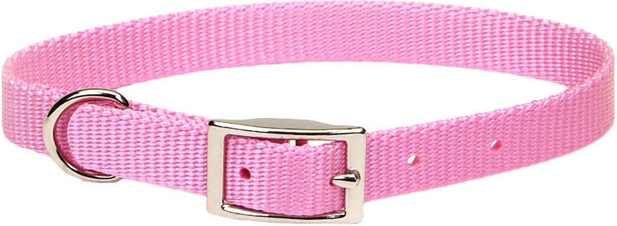 Single Ply Dog Collar
