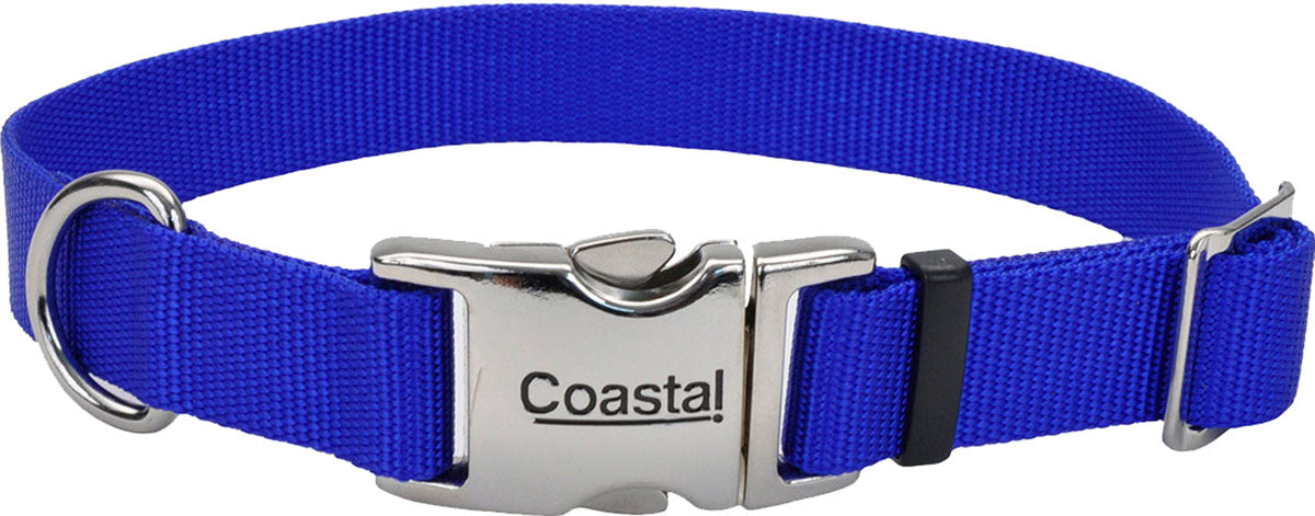 Adjustable Dog Collar W/ Metal Buckle