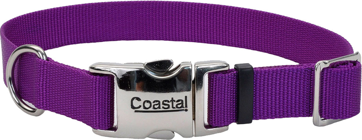 Adjustable Dog Collar W/ Metal Buckle