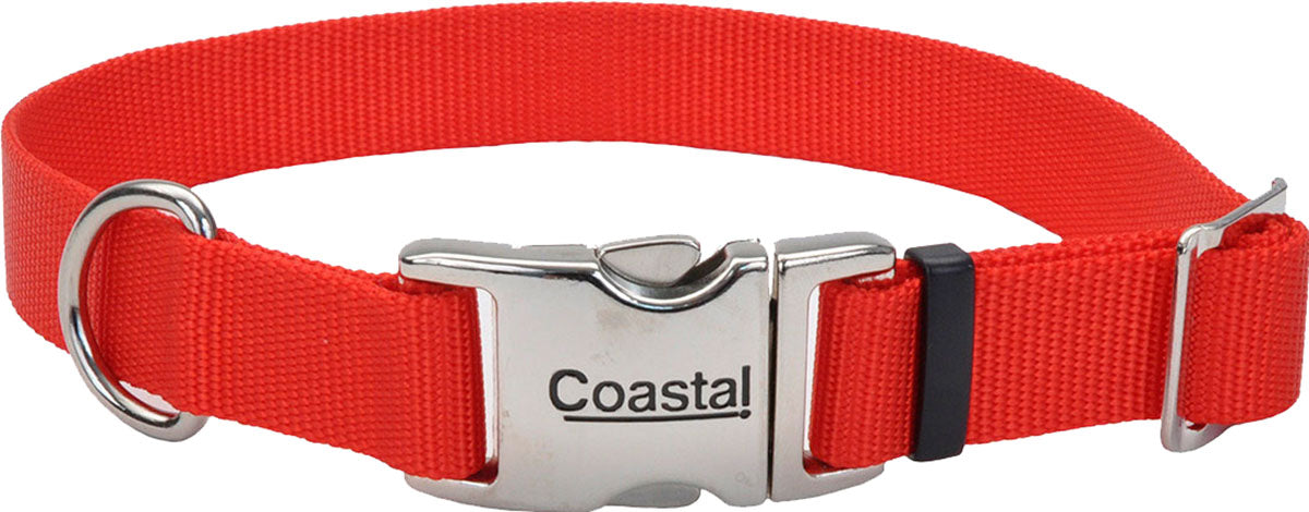Adjustable Dog Collar W/ Metal Buckle