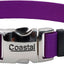 Adjustable Dog Collar W/ Metal Buckle