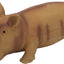 Rascals Pig Grunt Dog Toys