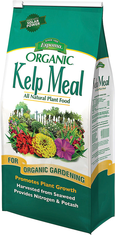 Front view of a green and white packaged product labeled Espoma Organic Kelp Meal.
