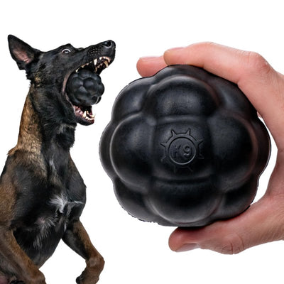 Monster K9 Indestructible Rumble Ball - XL Dog Ball - Lifetime Replacement - Medium & Large Breeds - Ultra Durable for Aggressive Chewers - Chew, Tug, & Fetch Dog Toy - Made in USA - 4.5"