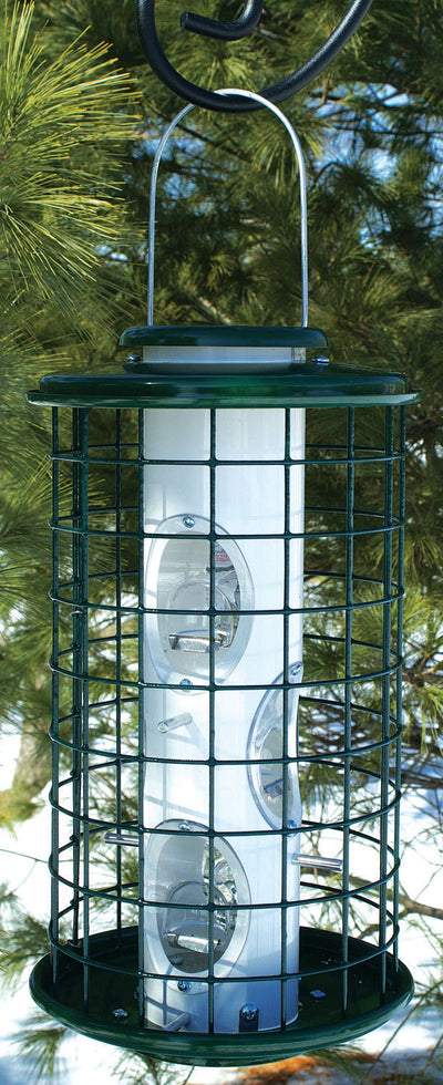 Green caged bird feeder with transparent seed tube, hanging from a tree branch.
