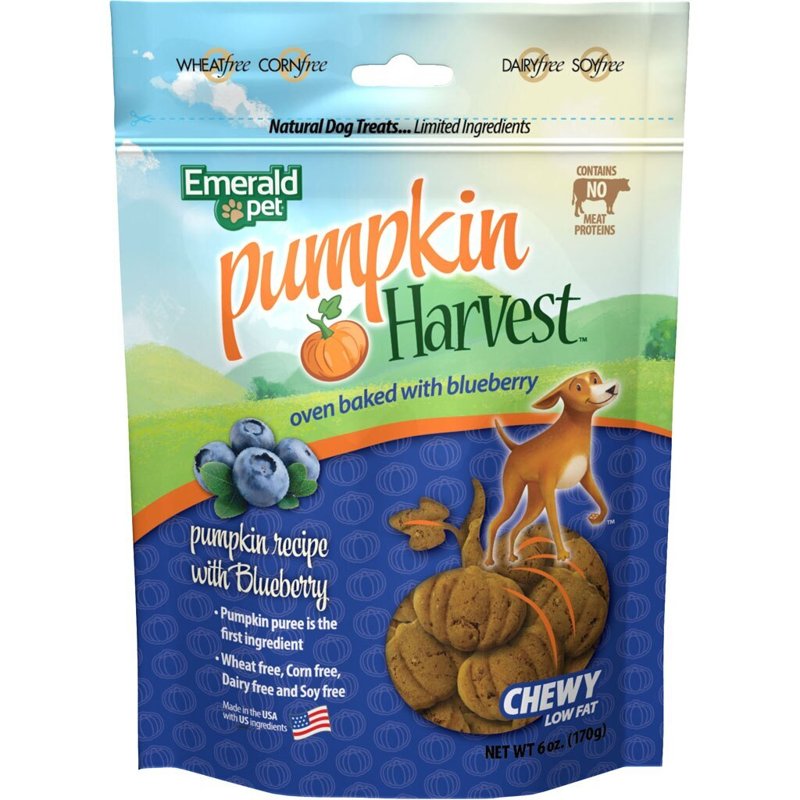 Emerald Pet Pumpkin Harvest Pumpkin Dog Treats - Low-Fat Chewy Natural Dog Treats with Pumpkin for Digestive Health - Meat Free, Poultry Free, Wheat Free Dog Treats - Blueberry, 6 oz