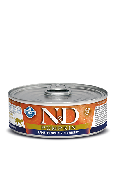 Farmina N&D Pumpkin Lamb & Blueberry Wet Cat Food, 2.8 oz