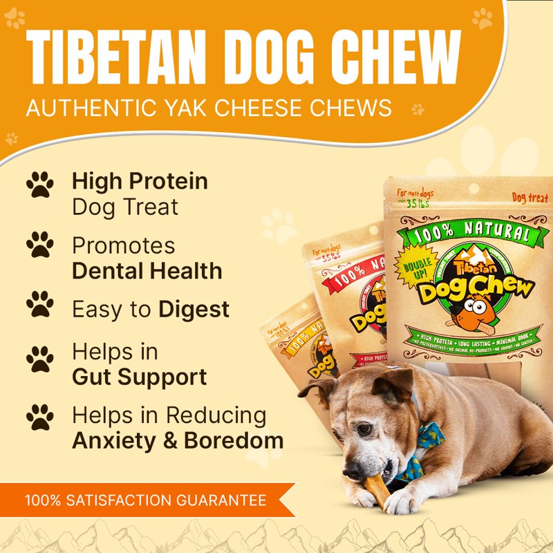 Tibetan Yak Cheese Dog Chew Sticks - Natural, Handmade, Long-Lasting, Easy to Digest,Ideal for Medium Dogs and Aggressive Chewers, Rawhide,Grain and Gluten Free, Keeps Dogs Busy, 1 Chew