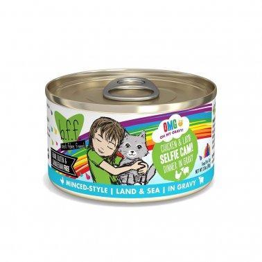 Weruva BFF OMG Gravy Chicken & Lamb Selfie Cam Wet Cat Food, 2.8 oz Can