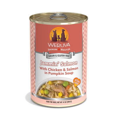 Weruva Classic Dog Jammin Salmon with Chicken & Salmon Canned Wet Dog Food, 14 oz Can