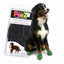 Pawz Boots Black