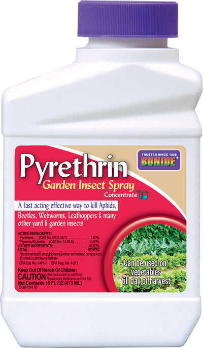 Bonide Pyrethrin Garden Insect Spray Concentrate