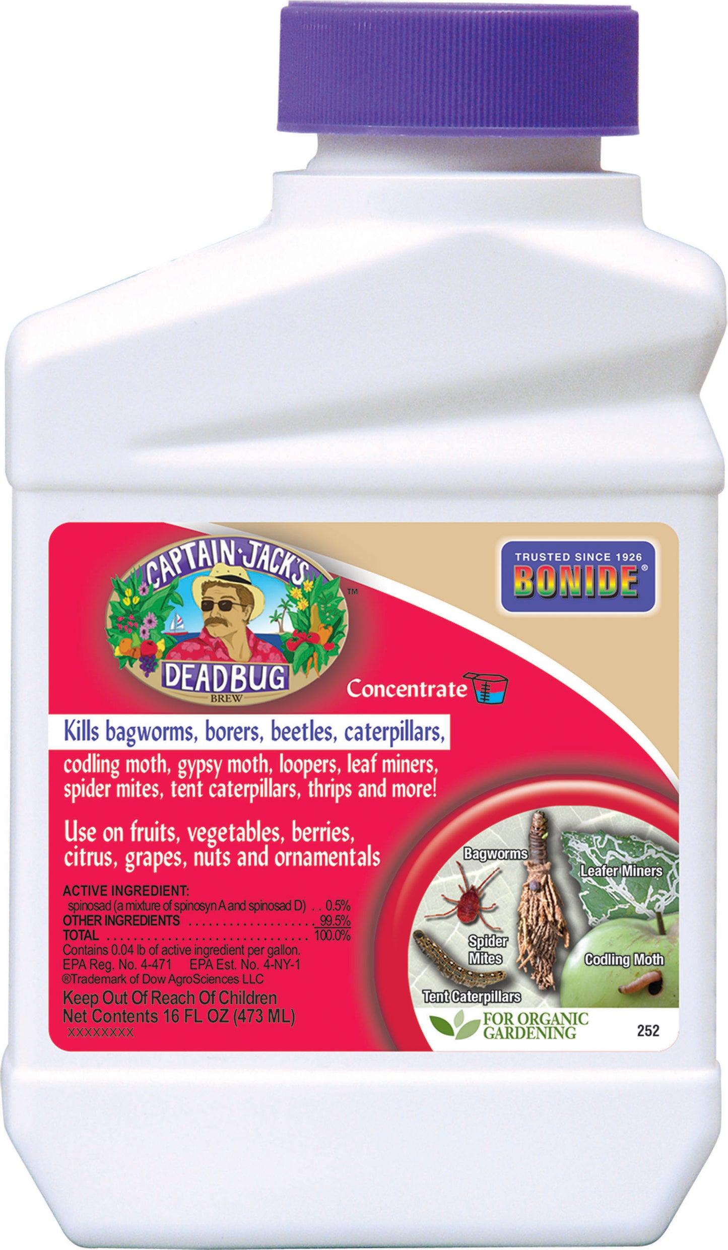 Captain Jack'S Deadbug Brew Concentrate