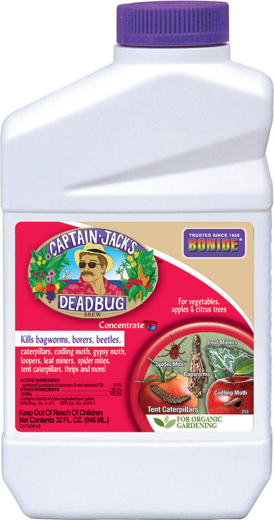 Captain Jack'S Deadbug Brew Concentrate