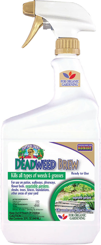 Captain Jack'S Deadweed Brew Rtu