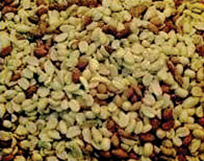 Raw Shelled Peanuts