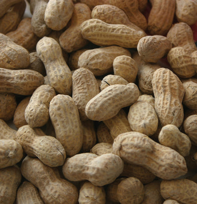 In Shell Peanuts Fancy