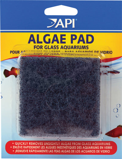 Packaged API Algae Pad for glass aquariums in a clear plastic blister pack with blue and yellow label.