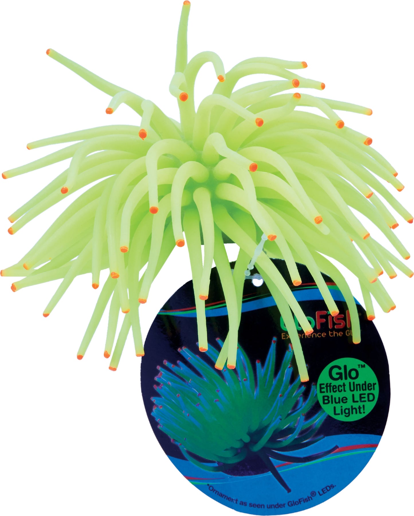 Glofish Aquarium Ornament Anemone