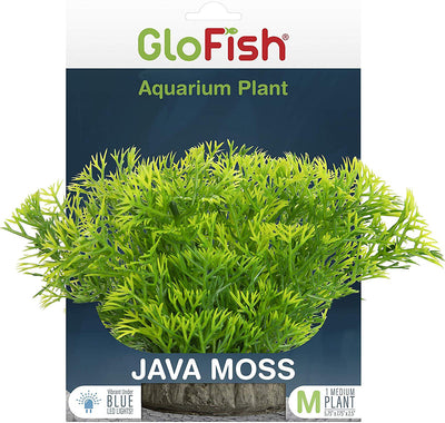 Glofish Aquarium Plant