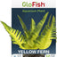 Glofish Aquarium Plant