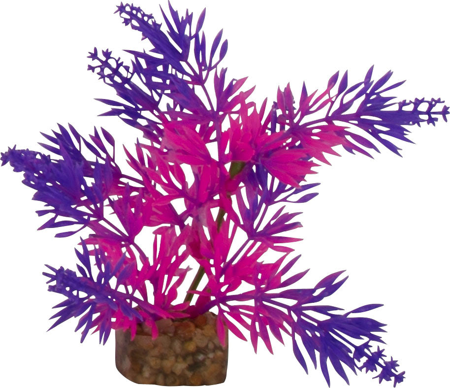 Glofish Multi-Color Aquarium Plant