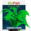 Glofish Aquarium Plant