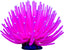Glofish Anemone