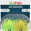 Glofish Anemone