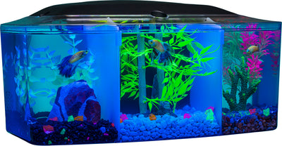 Glofish Betta Trilogy Aquarium