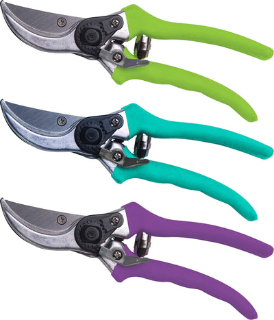 Bloom Bypass Pruner