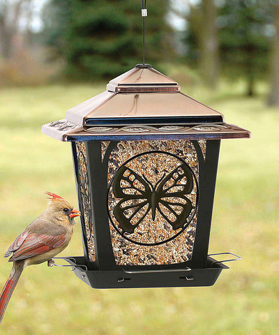 Hopper Style Wild Bird Feeder W/Butterfly Design