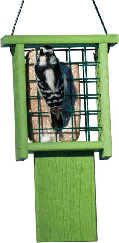 Going Green Tail-Prop Suet Feeder