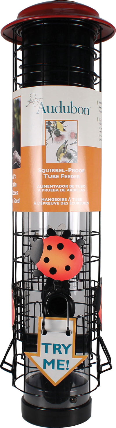 Ladybug Squirrel-Resistant Tube Feeder