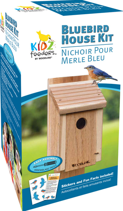 Diy Craft Kit Bluebird House