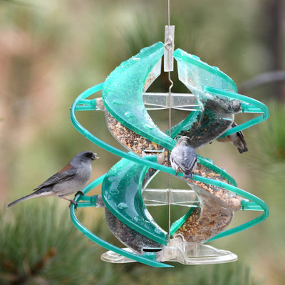 Cascade Dna Songbird Seed Feeder