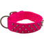 Bravo Nylon Spiked Dog Collar