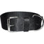 Bravo 2 Ply Nylon Dog Collar