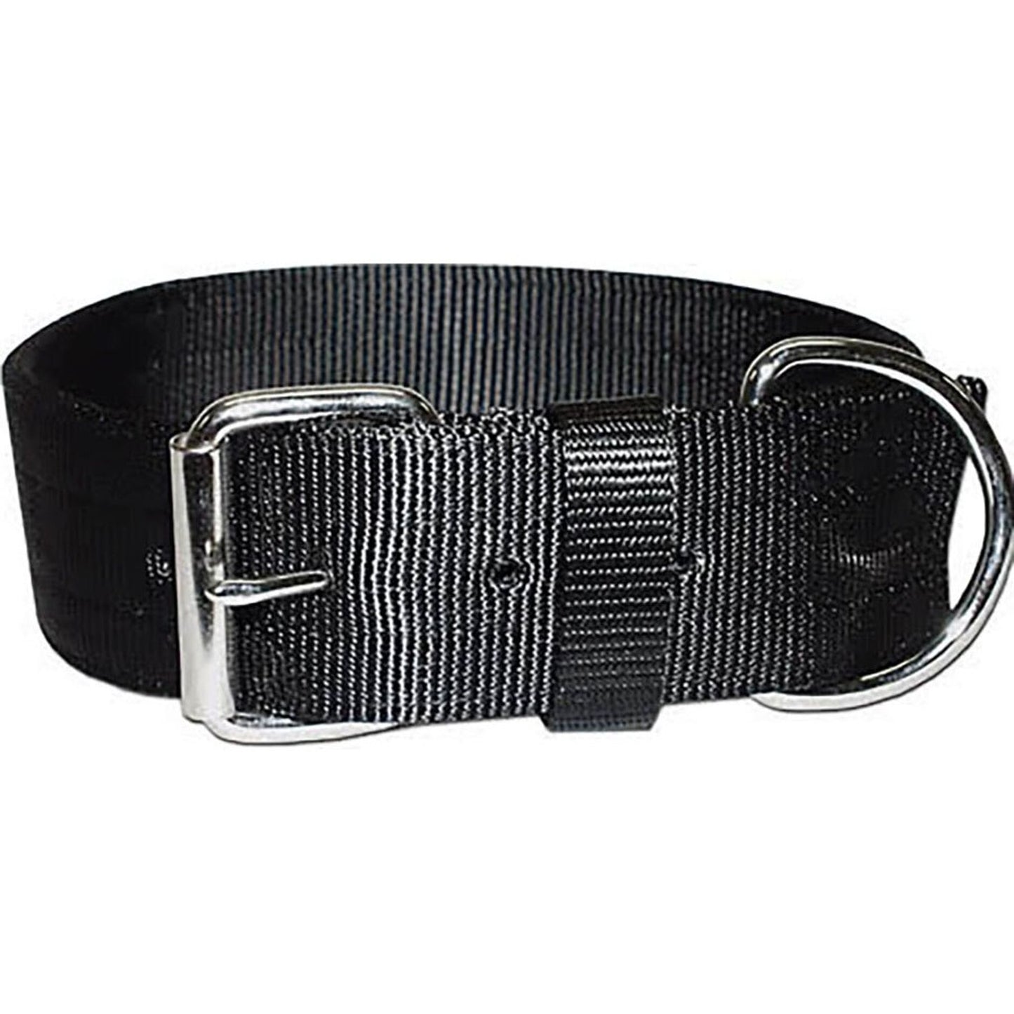 Bravo 2 Ply Nylon Dog Collar