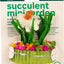 Succulent Minigarden