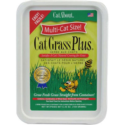 Cata'Bout Cat Grass Plus