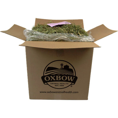 Oxbow Western Timothy Hay