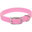 Single Ply Dog Collar