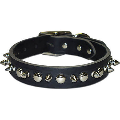 Latigo Leather 1 Ply Spiked Dog Collar