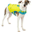 Kurgo Surf N Turf Life Vest & Coat In One