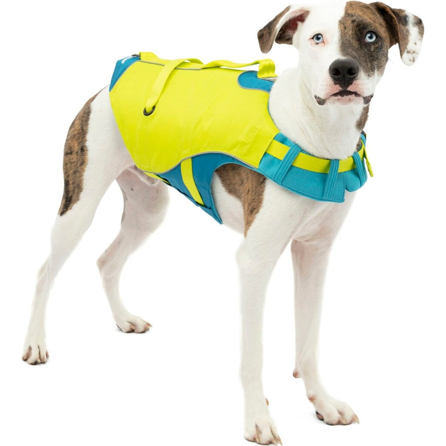 Kurgo Surf N Turf Life Vest & Coat In One