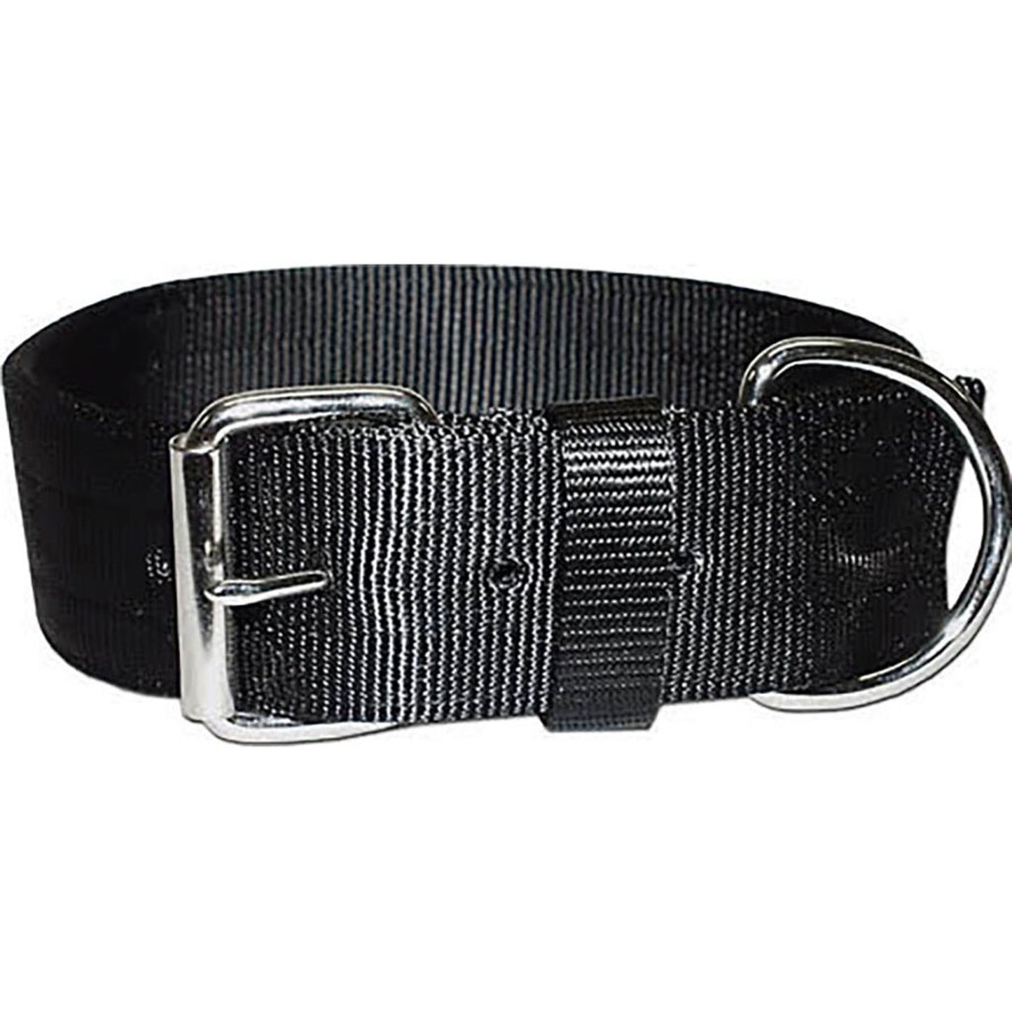 Bravo 2 Ply Nylon Dog Collar